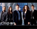 CSI:NY